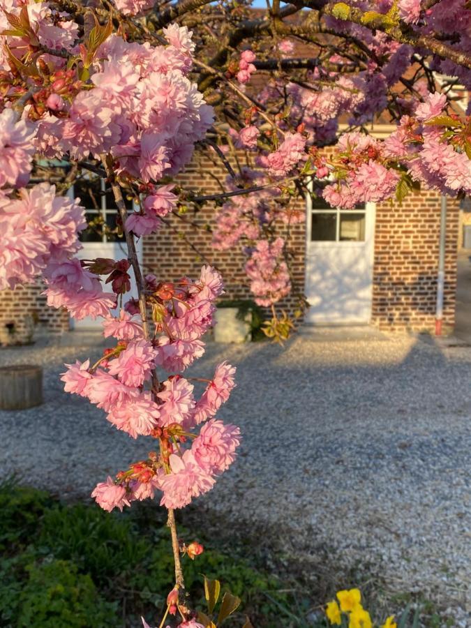 Le Domaine Des Saules Villa Richebourg  Exterior foto